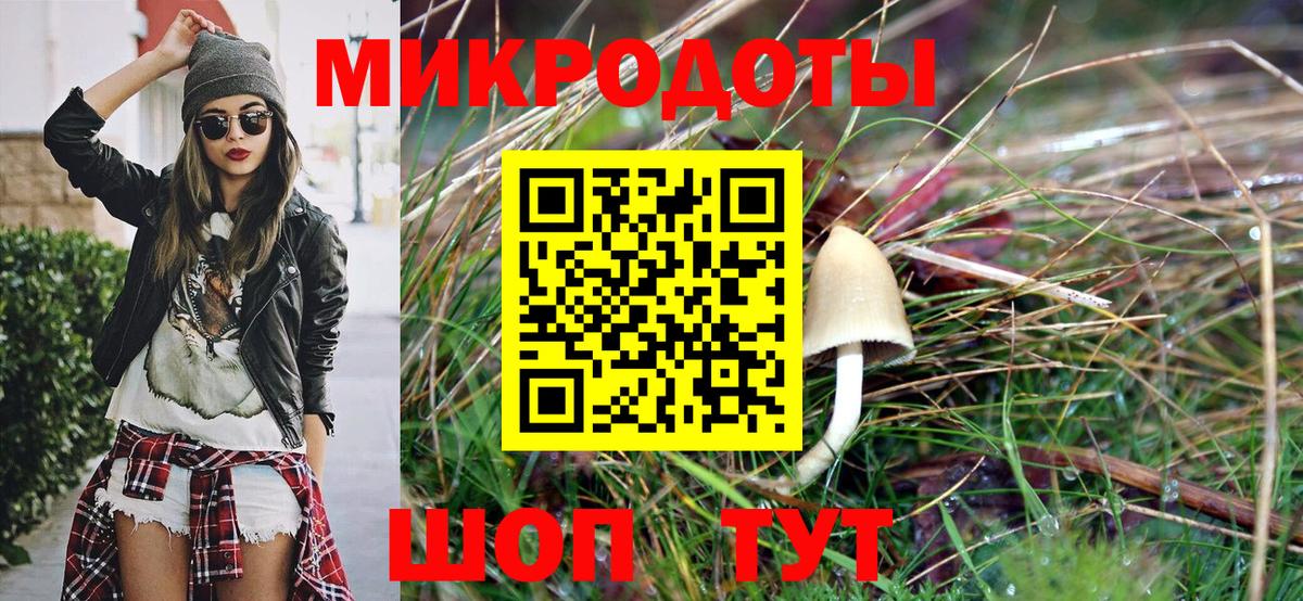 Галлюциногенные грибы Psilocybine cubensis  Вход с VPN  Серов 