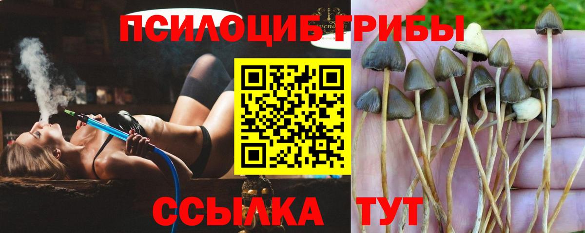 Псилоцибиновые грибы ЛСД Серов